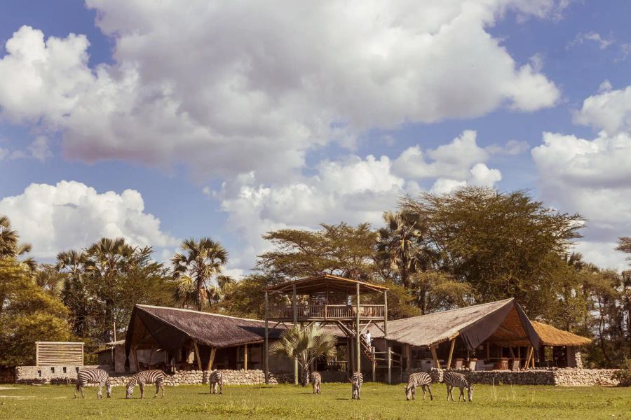 5-Day Ultra-Lux Fly-In Lake Manyara Safari