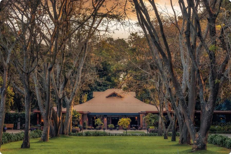 8-Day Exclusive Northern Tanzania Migration Safari