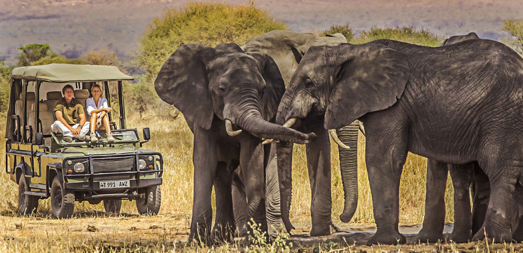 How to Book The Perfect African Safari