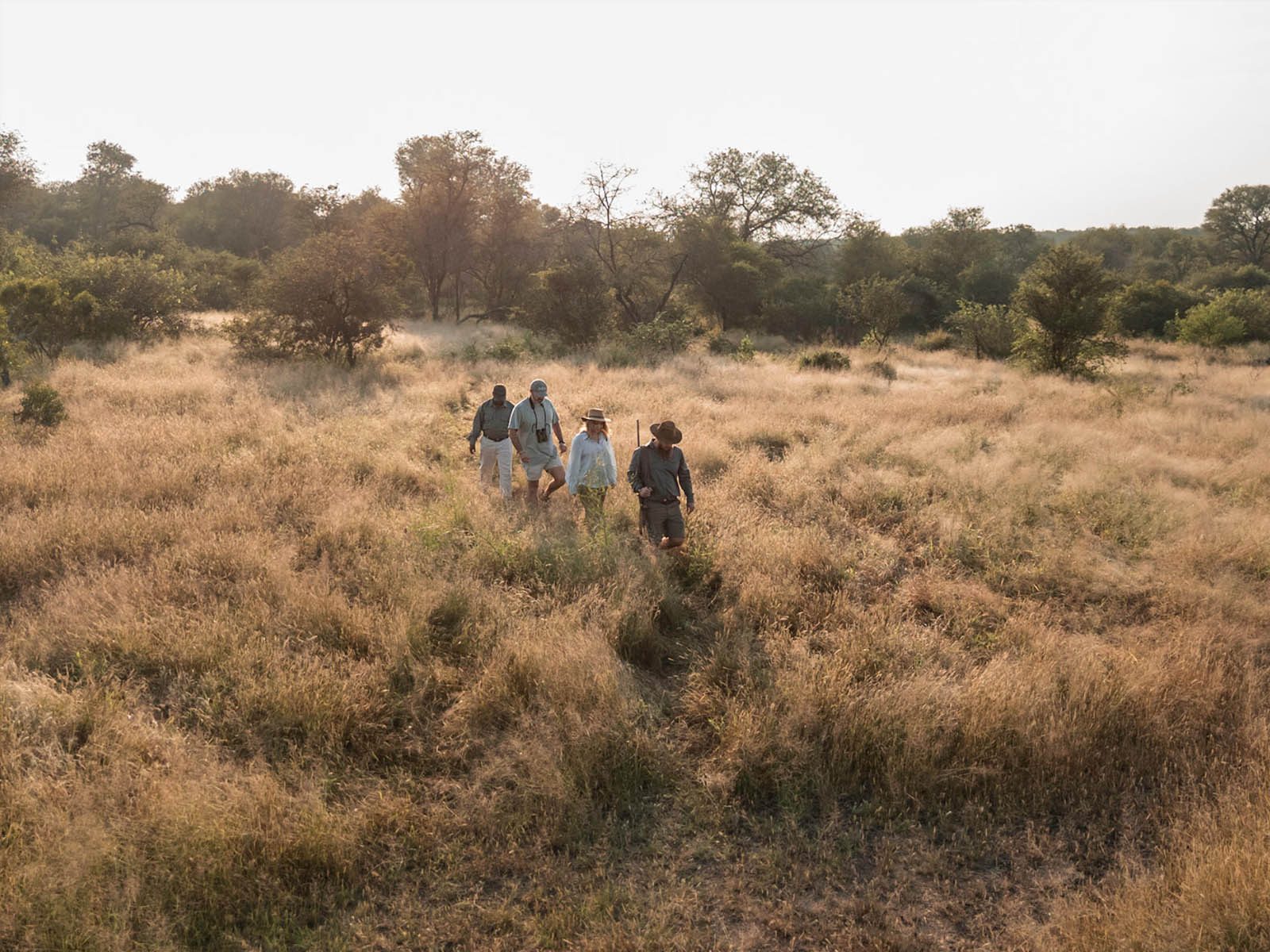 A guide leads guests in single file through tall winter grass on a bush walk