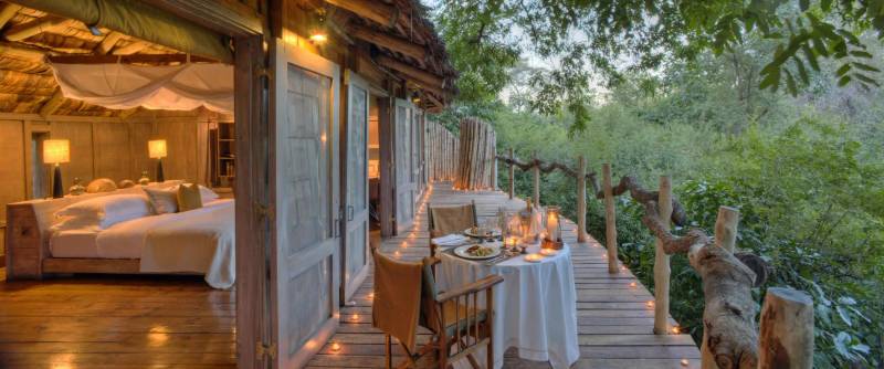&Beyond – Where the Wild Meets the Extraordinary