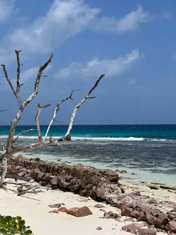 Guest photo from Seychelles
