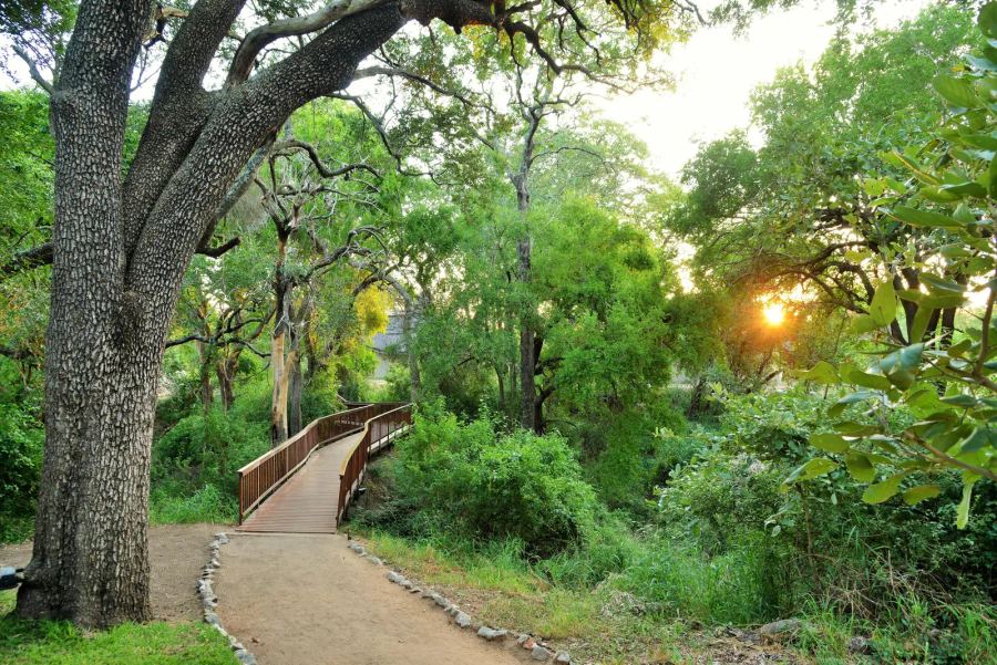 4 Day All Inclusive Fly-in Tour to Kruger's Imbali Lodge