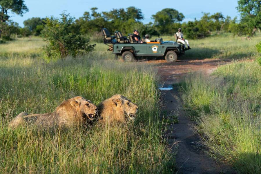5 Day Timbavati Bush Adventure - All Inclusive Promotion