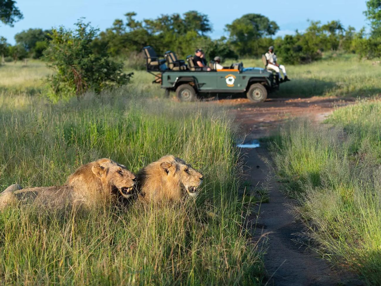 5 Day Timbavati Bush Adventure - All Inclusive Promotion