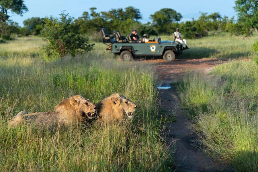 5 Day Timbavati Bush Adventure - All Inclusive Promotion