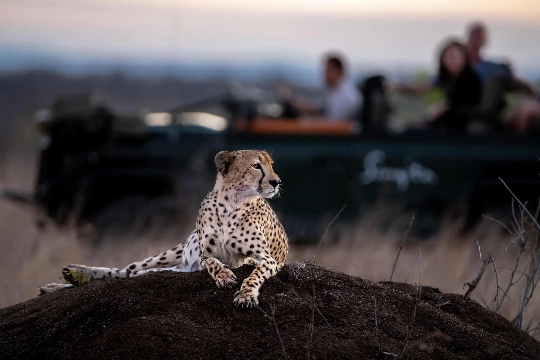 3-Day Singita Fly-in Safari