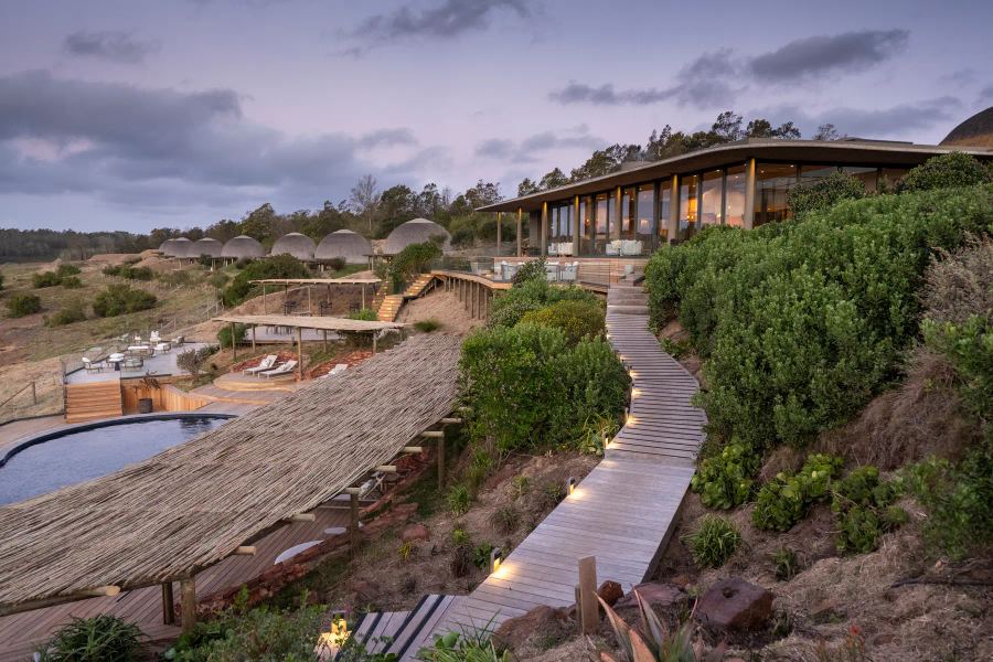  3-Day BIG 5 Cape Safari Getaway