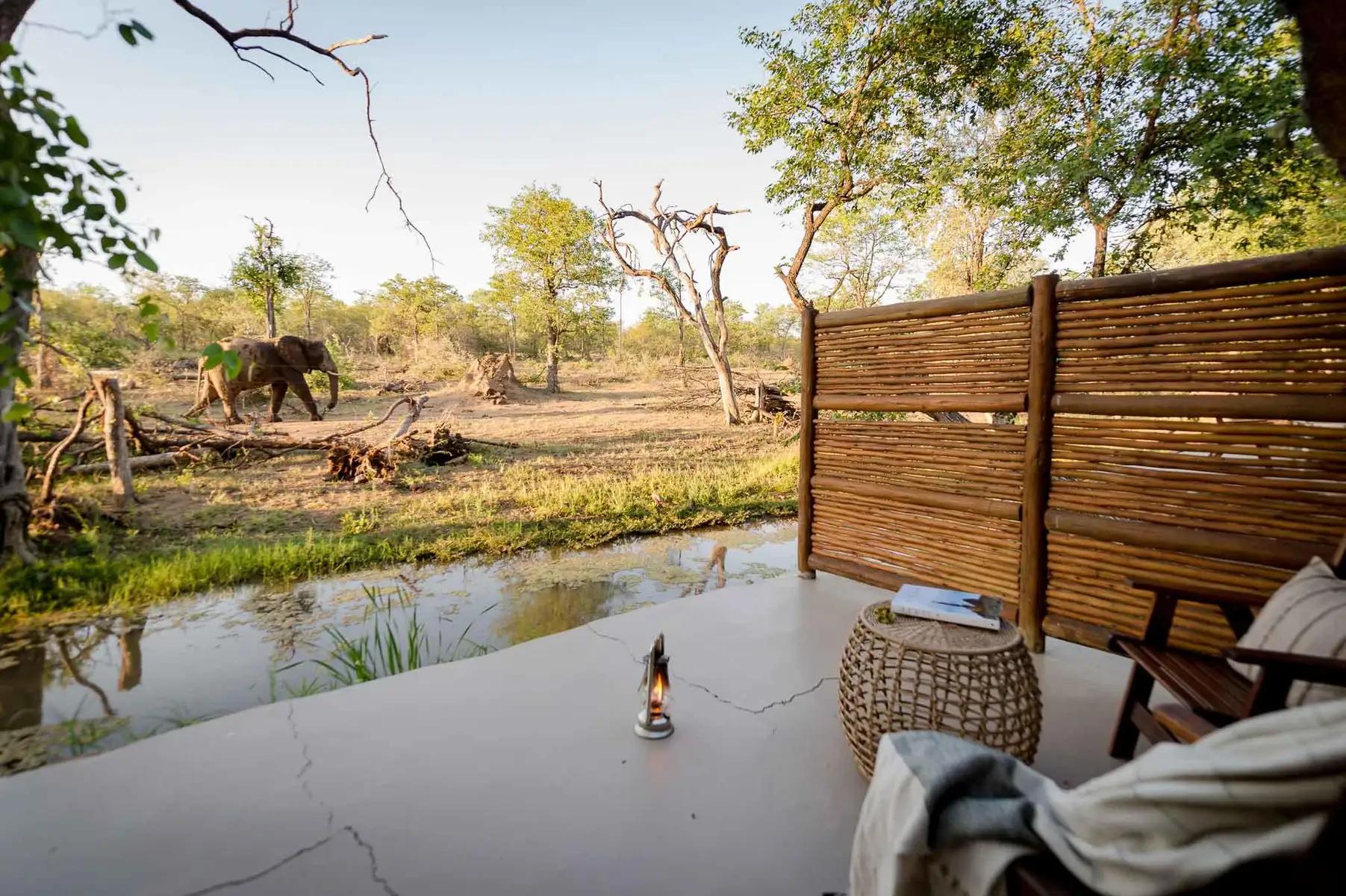 Chacma Bush Camp