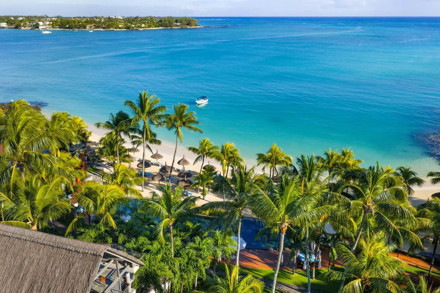 Royal Palm Beachcomber