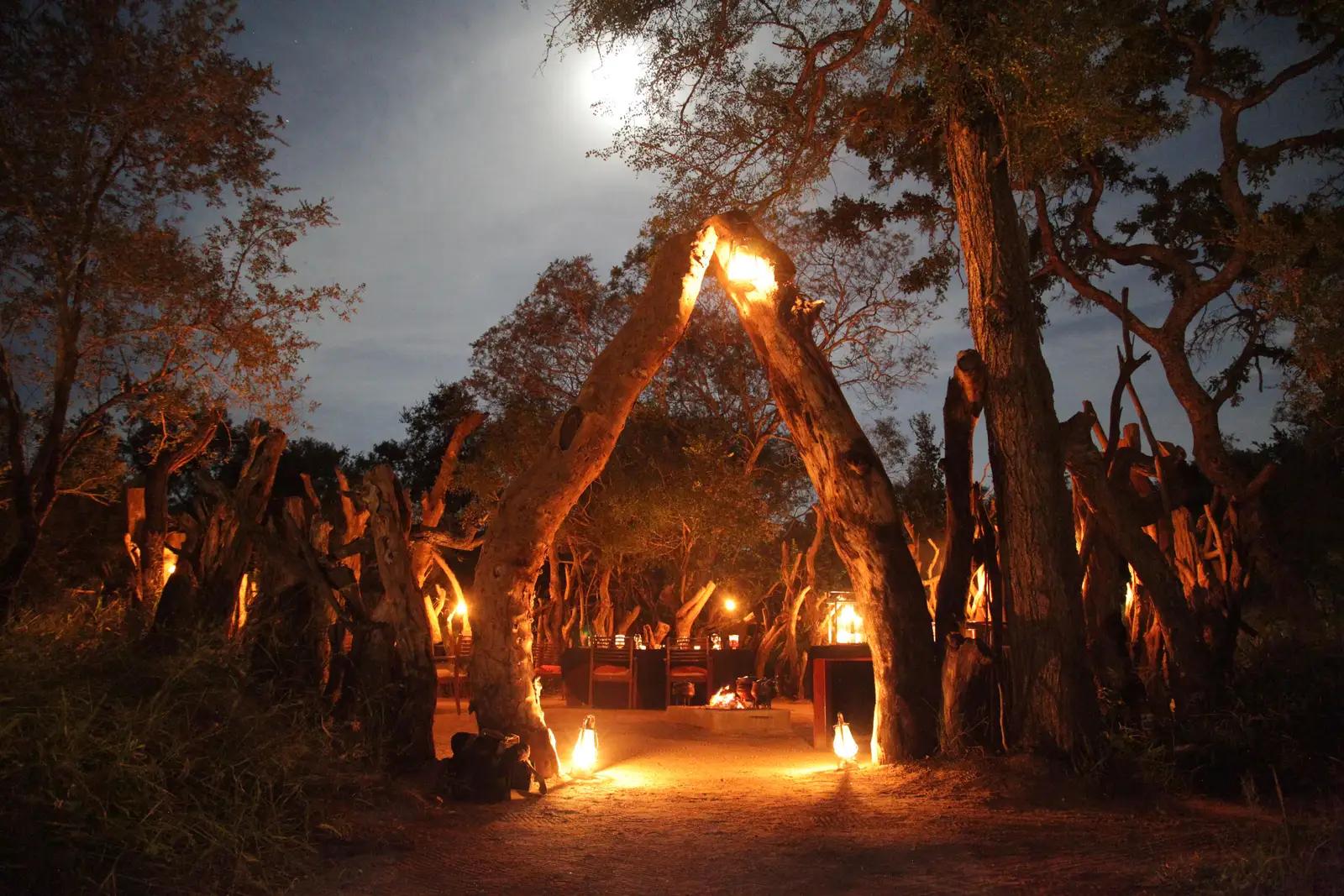 6 Day Magical Kruger Park & Cape Town Safari