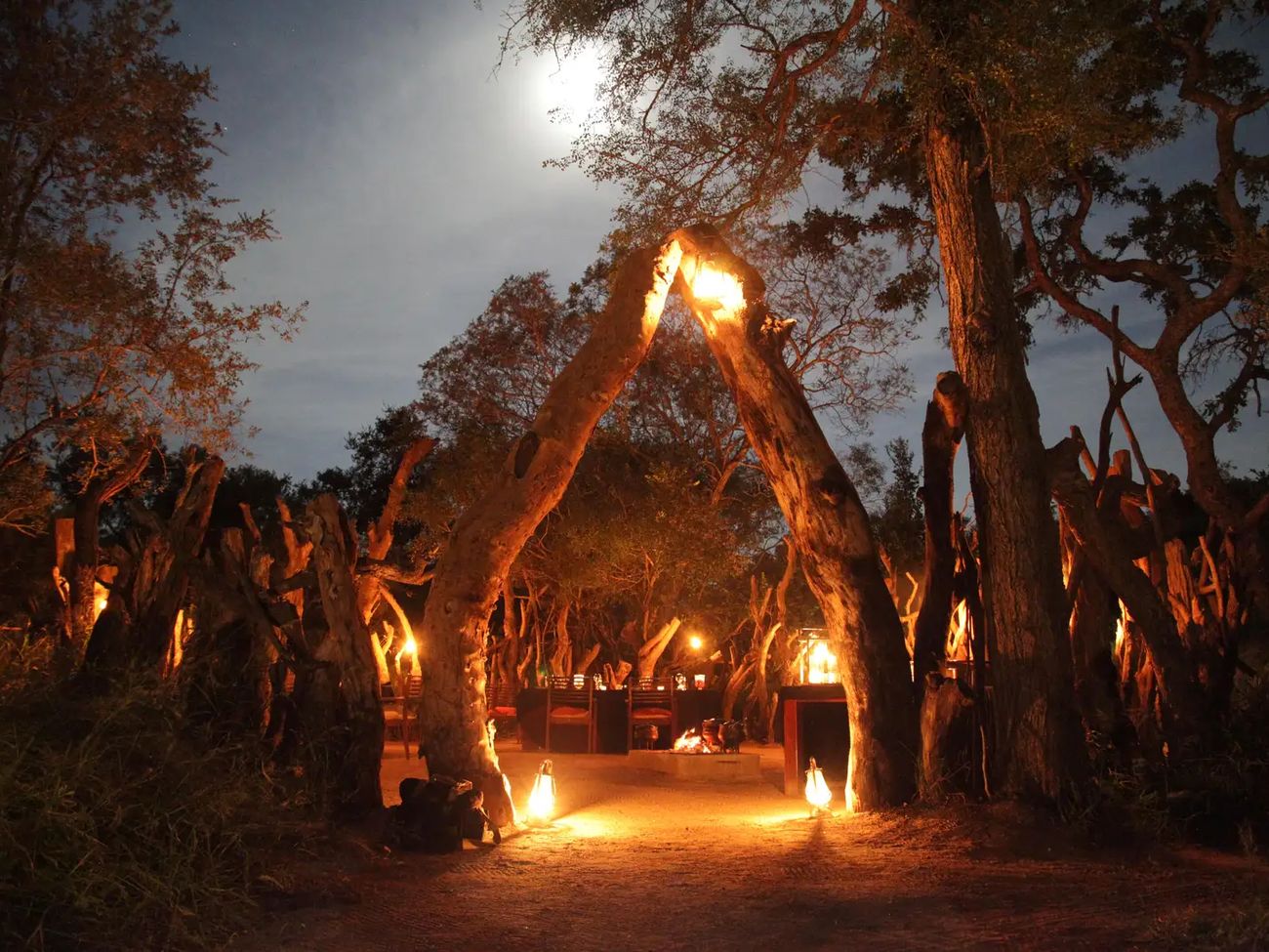 6 Day Magical Kruger Park & Cape Town Safari