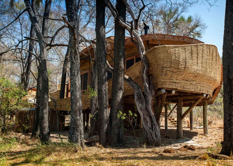 AndBeyond Sandibe Okavango Safari Lodge