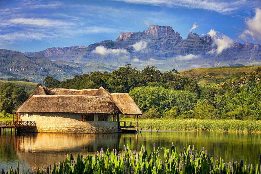 Kwazulu - Natal