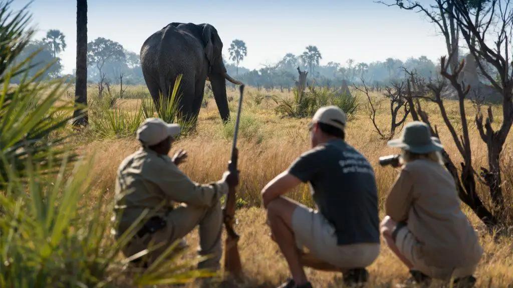 AndBeyond Xaranna Okavango Delta Camp