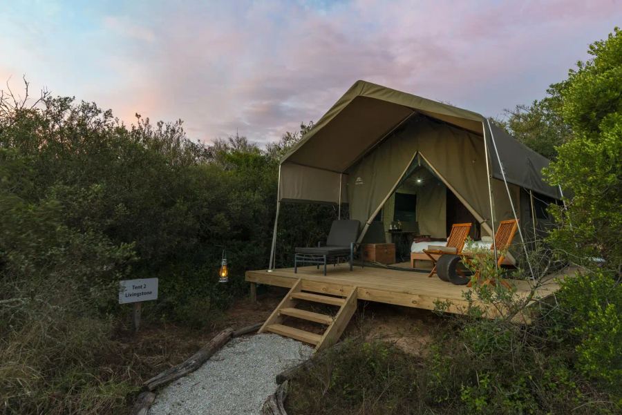 Shamwari Explorer Camp