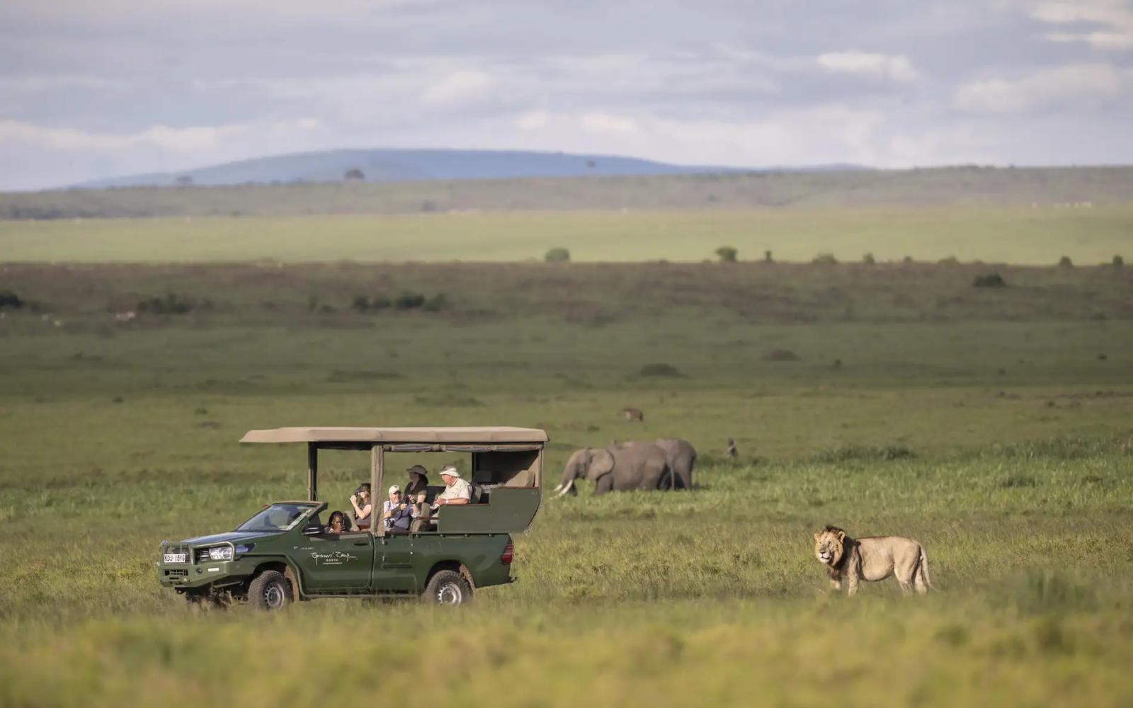Top 10 Best African Safari Tours in 2025