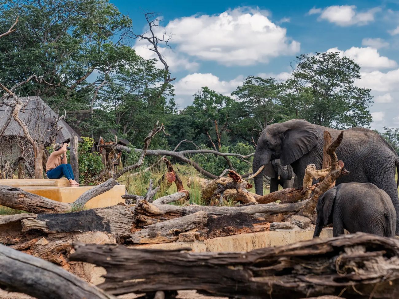 Amalinda Khulu Bush Camp