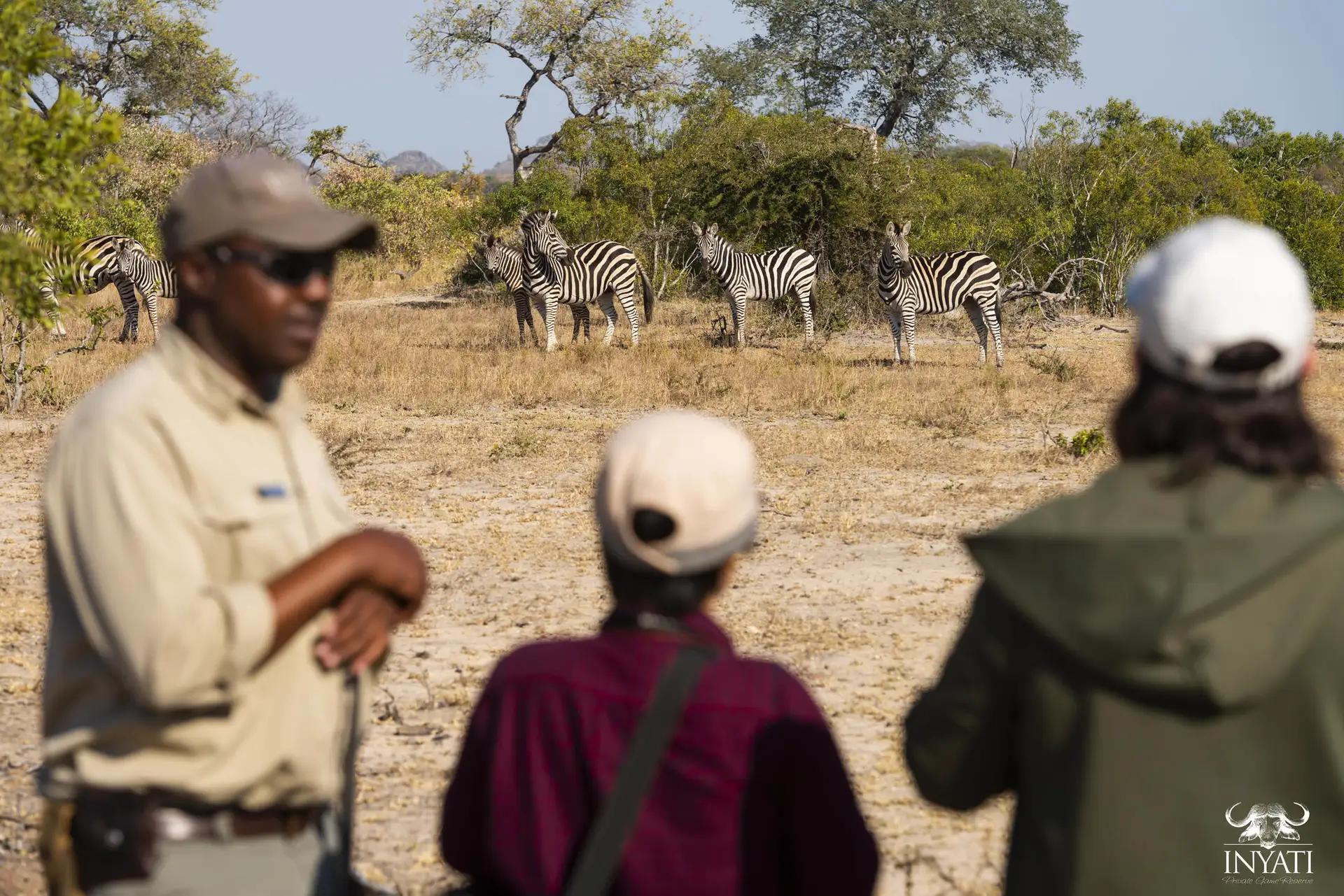 9-Day South Africa and Victoria Falls Adventure Safari