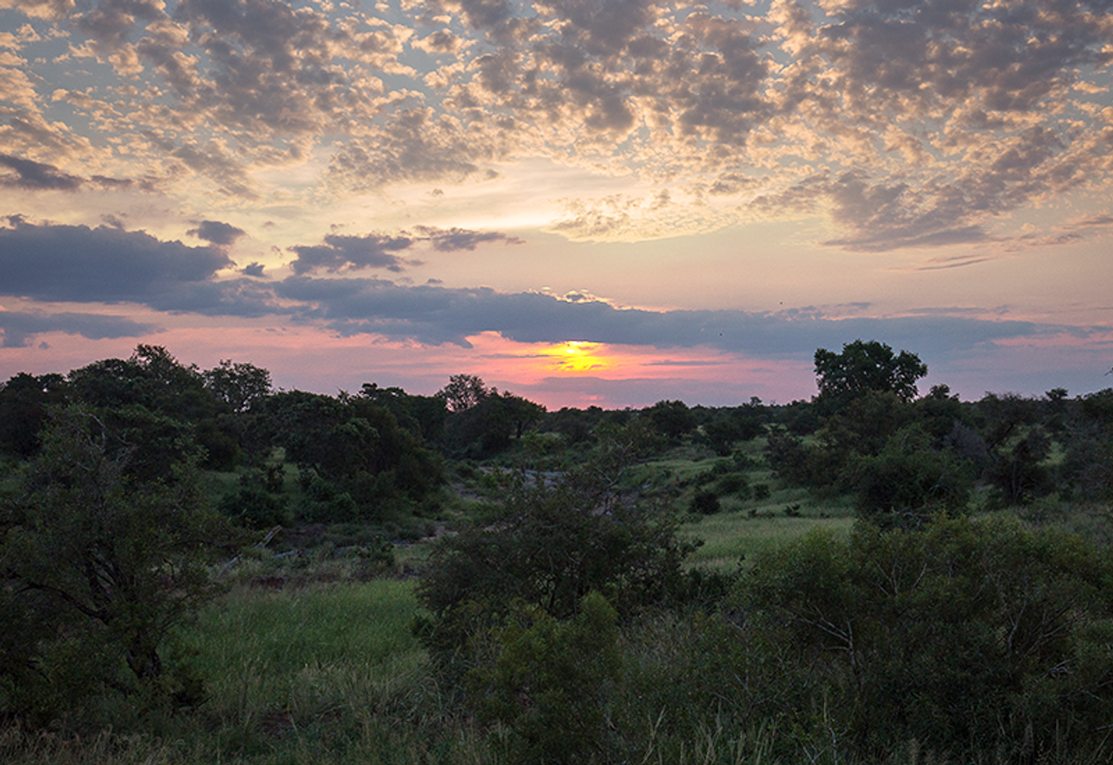 sunset in Kruger National Park
