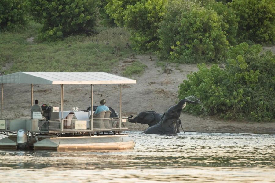 3 Day Chobe Fly-in Safari 