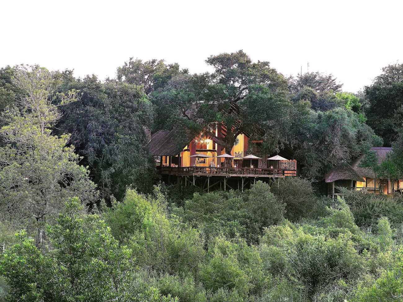 Londolozi Varty Camp