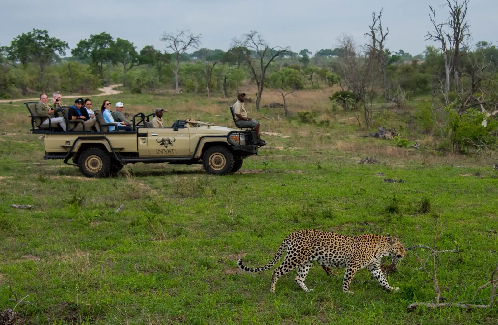 Experience, discover and exclusivity - Inyati game drive