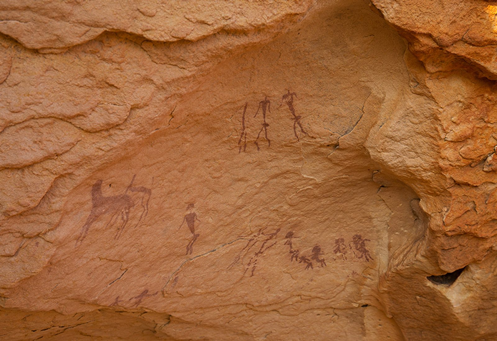 Mapungubwe National Park: South African World Heritage Sites