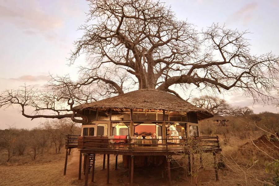 Tarangire Treetops