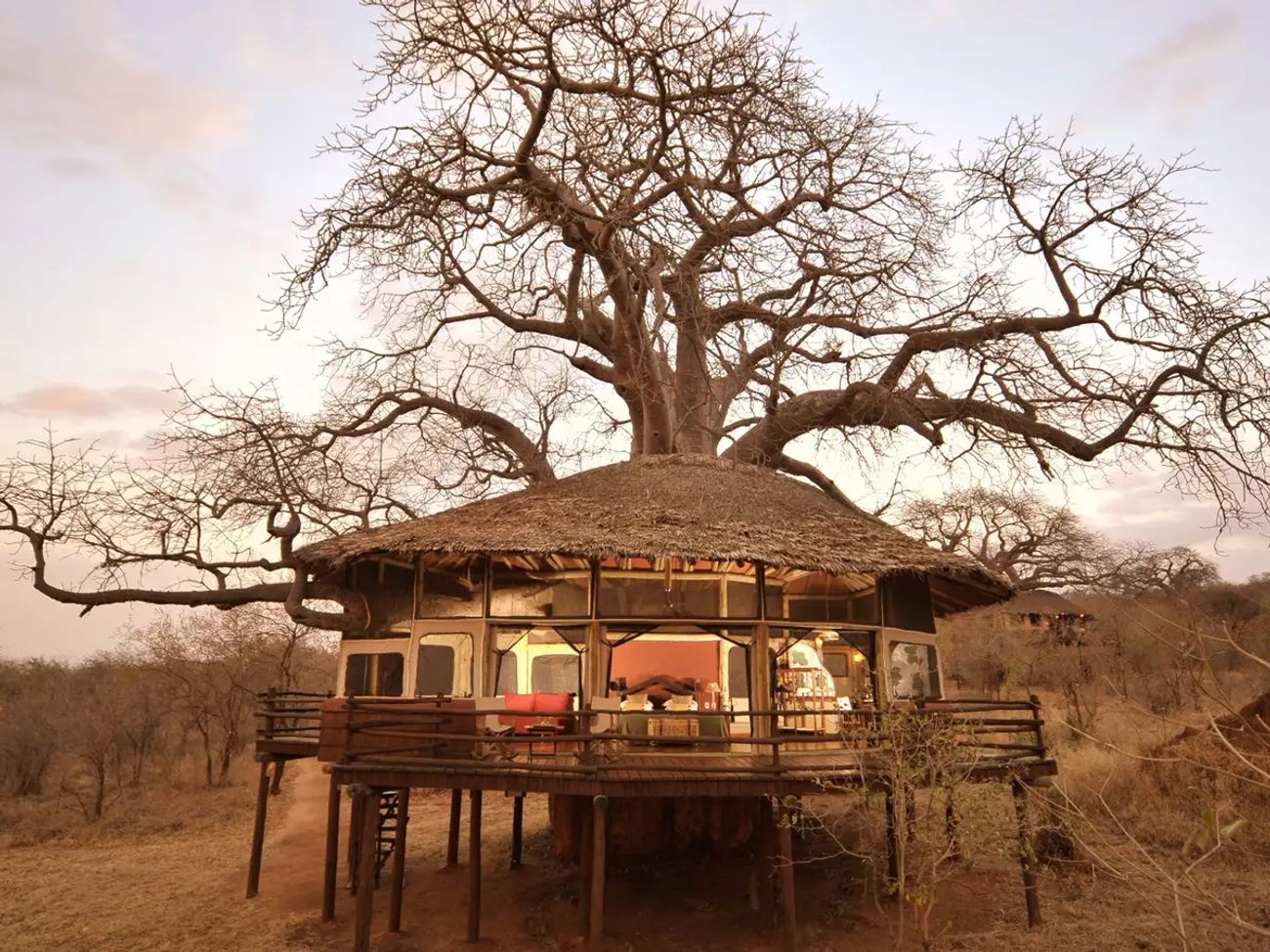 Tarangire Treetops