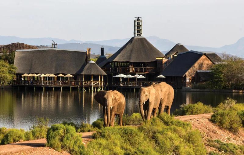 16 Day Self Drive Bush & Garden Route