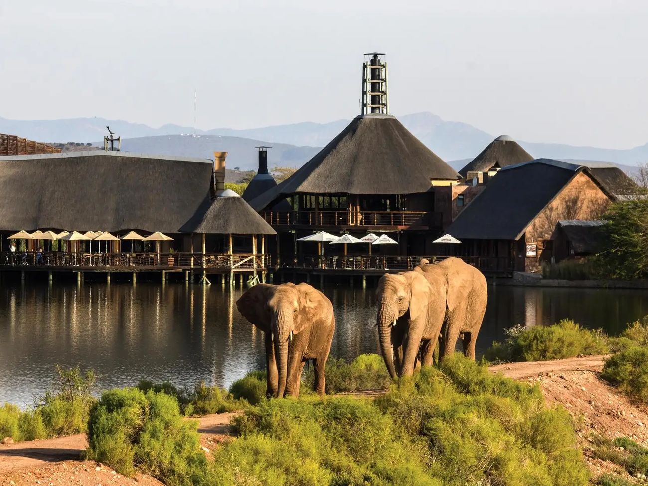 16 Day Self Drive Bush & Garden Route