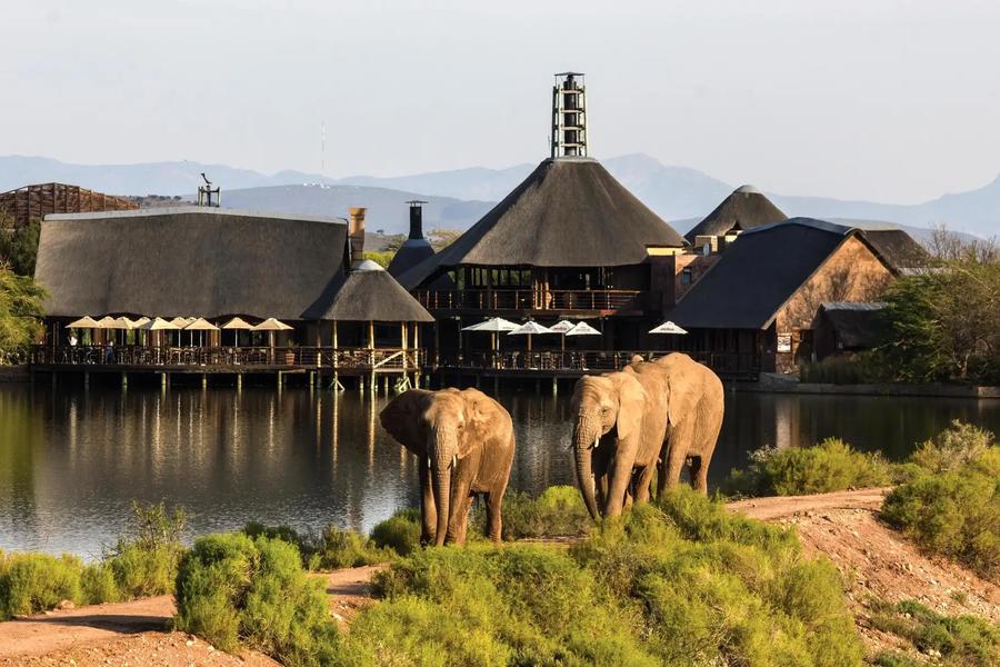 16 Day Self Drive Bush & Garden Route