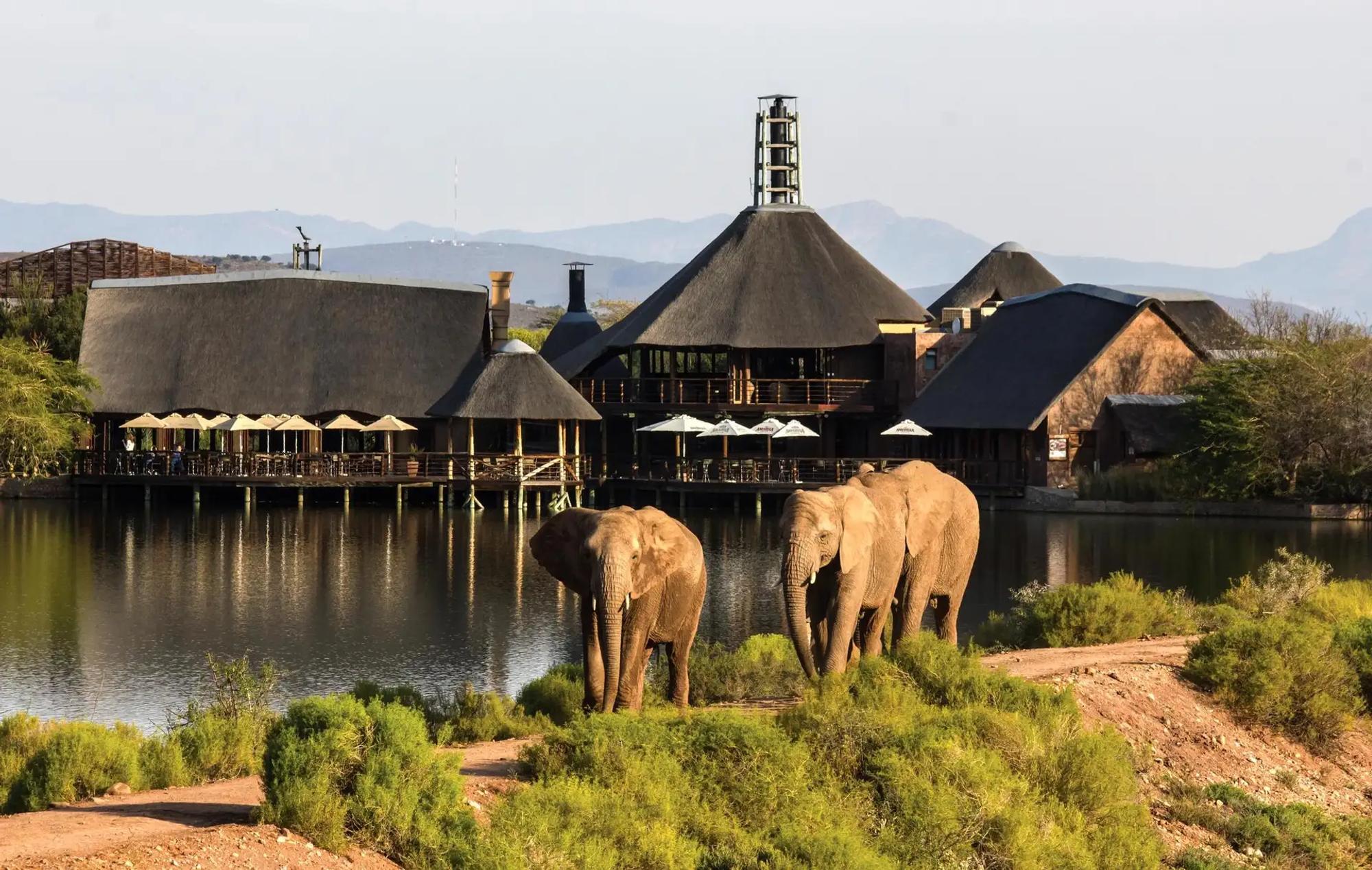 16 Day Self Drive Bush & Garden Route