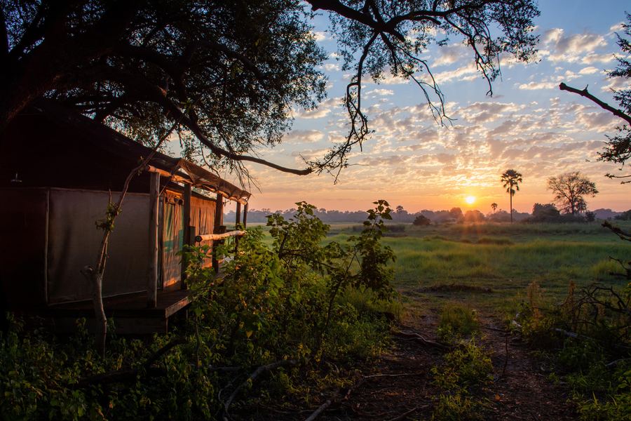 5 Day Magical Moremi & Okavango Delta