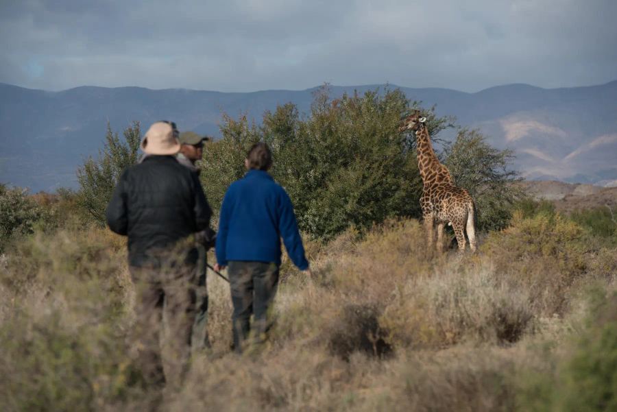 3-Day BIG 5 Safari near Cape Town