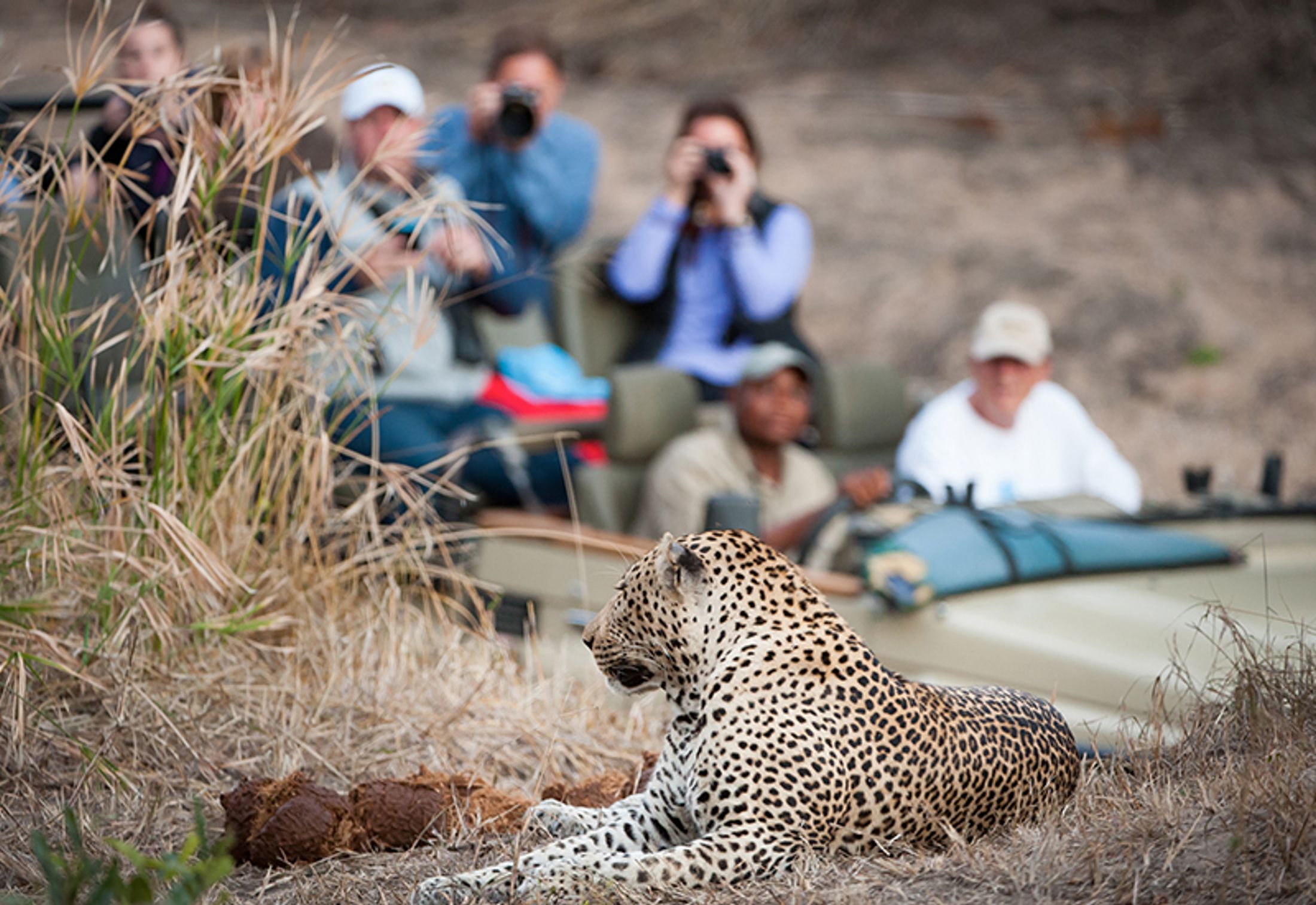 Spend Easter on Safari in Southern Africa: where, how, when to book