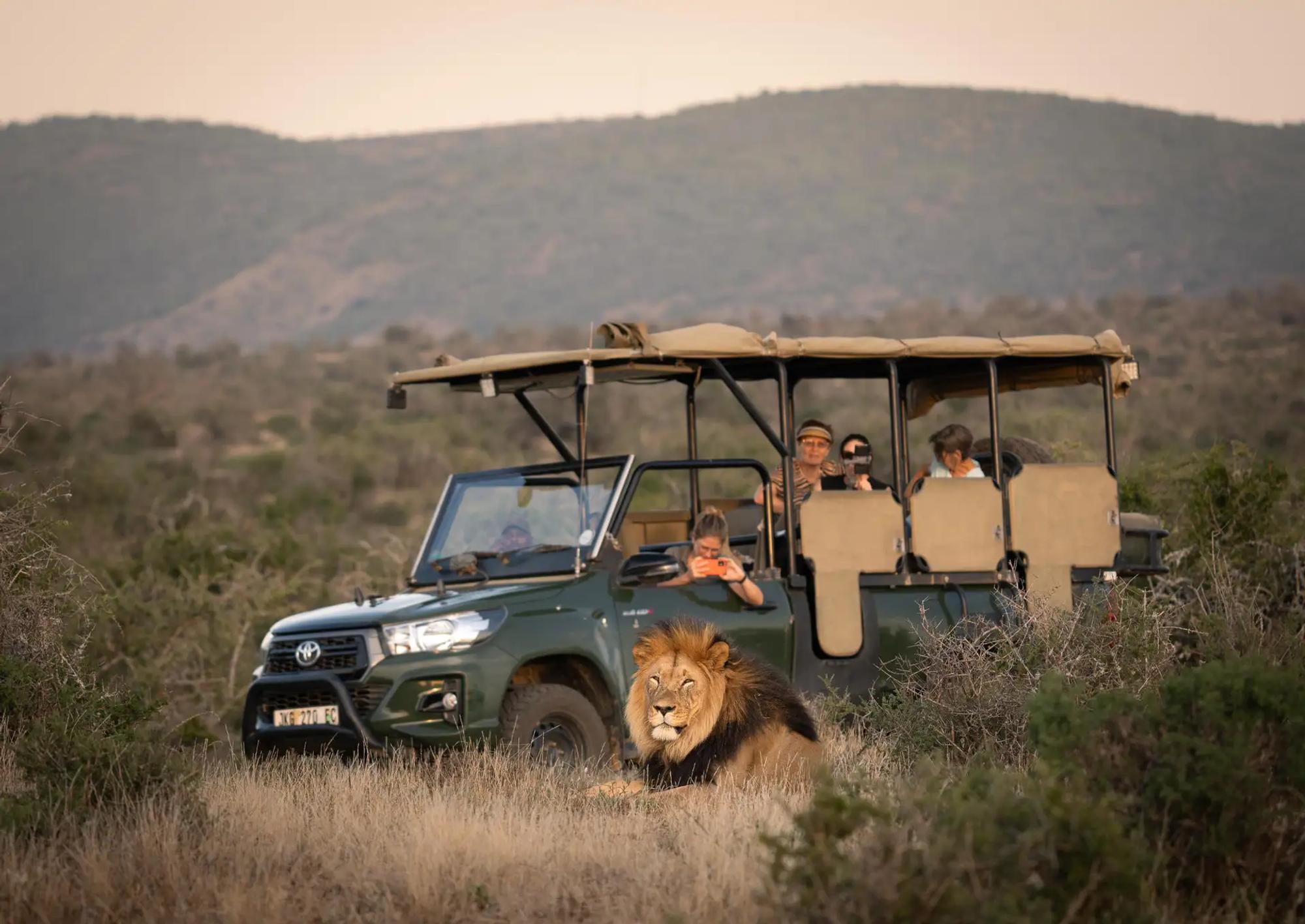 6-Day Cape Town to Port Elizabeth Winter Fly-in Package