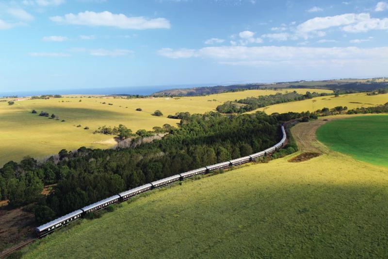 7-Day Cape Town to the Coast: Luxury Train & Beach Escape