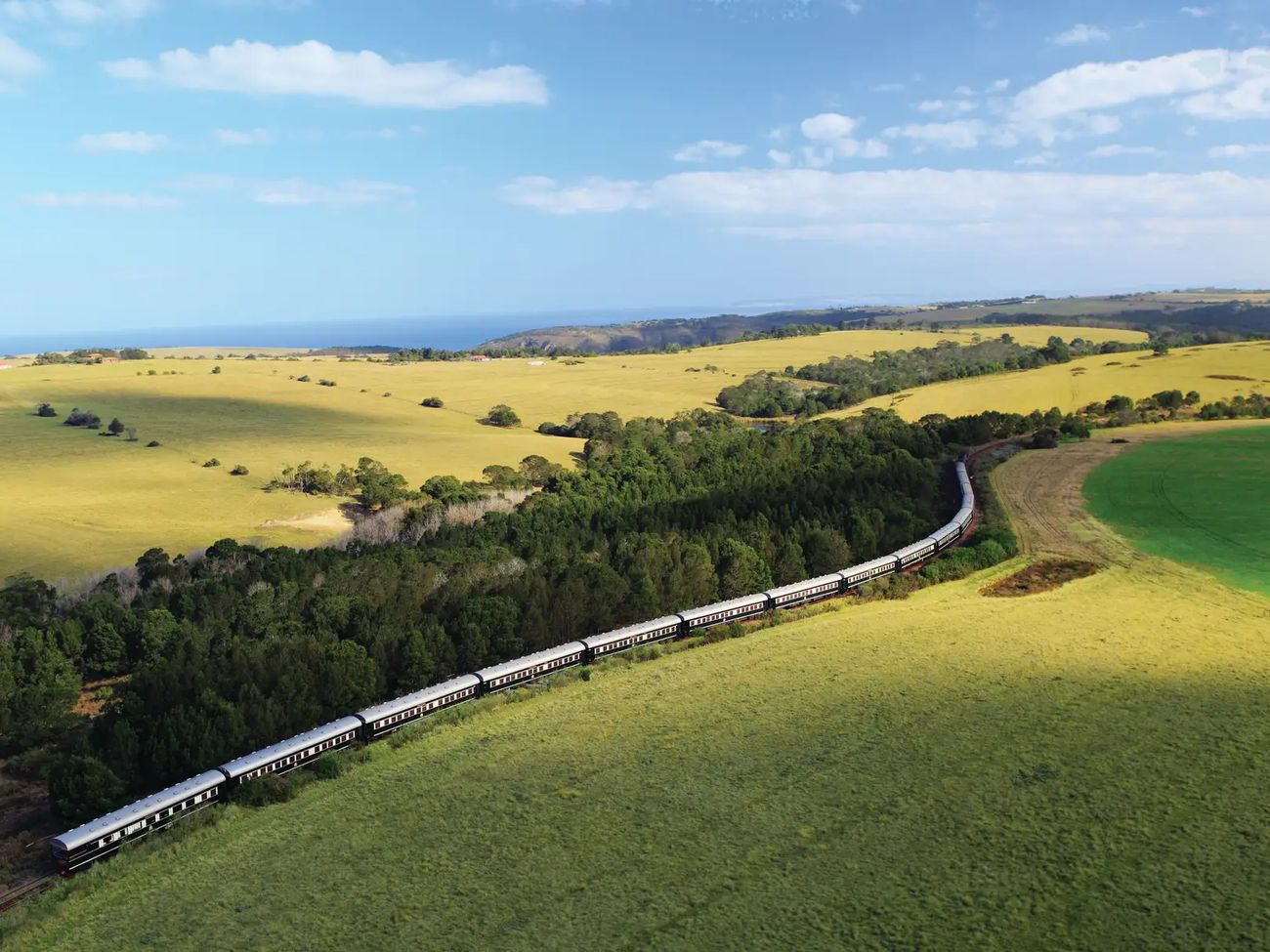 7-Day Cape Town to the Coast: Luxury Train & Beach Escape