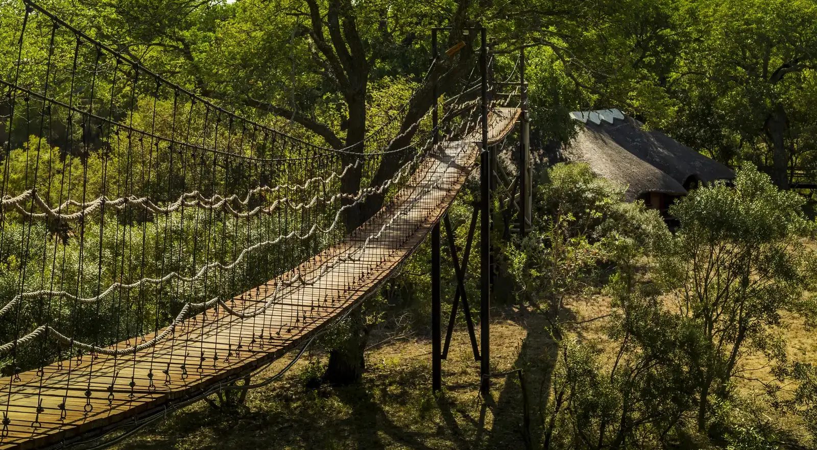 A raised walkway at Ulusaba