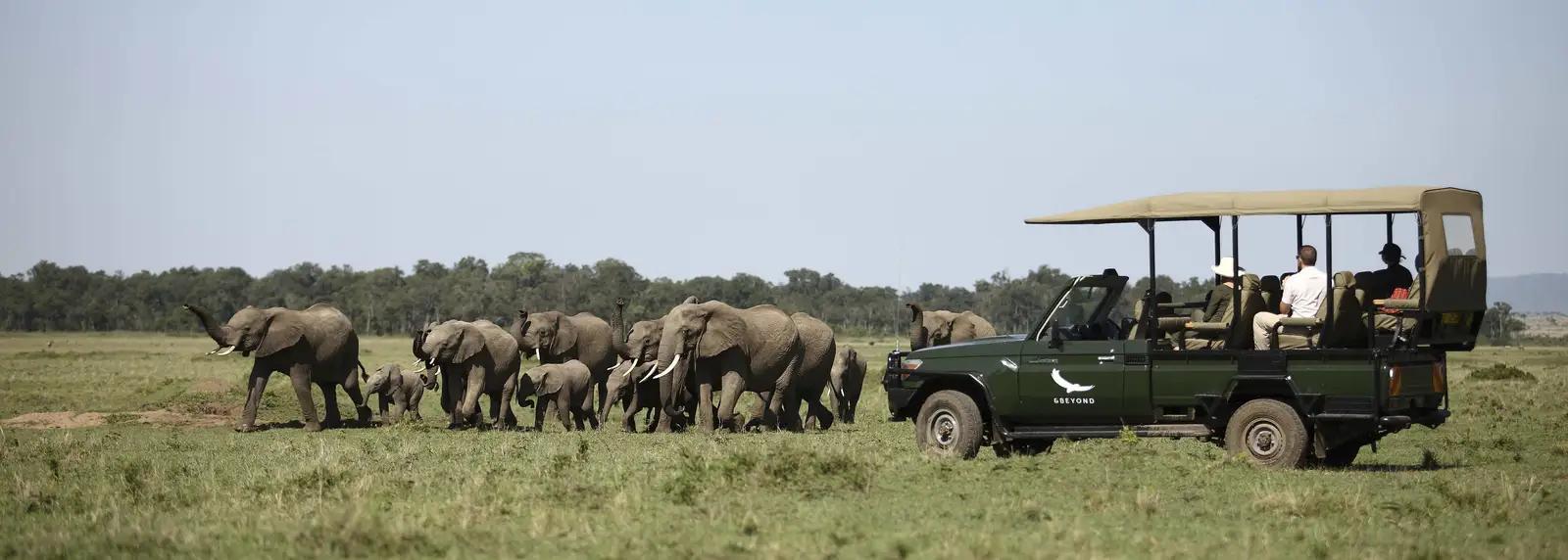 4 Day Fly-in Masai Mara Safari