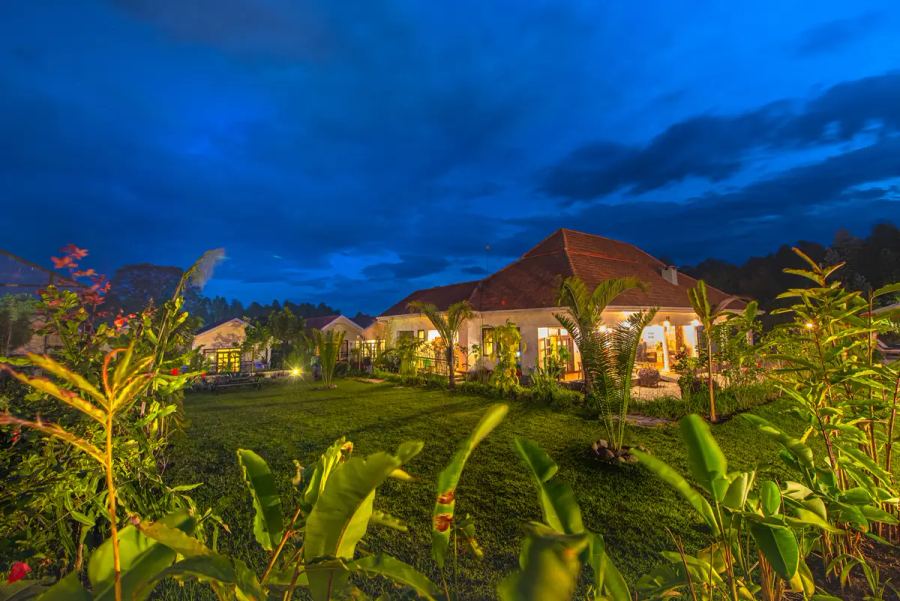  3-Day Rwanda Gorilla Trekking in Volcanoes National Park