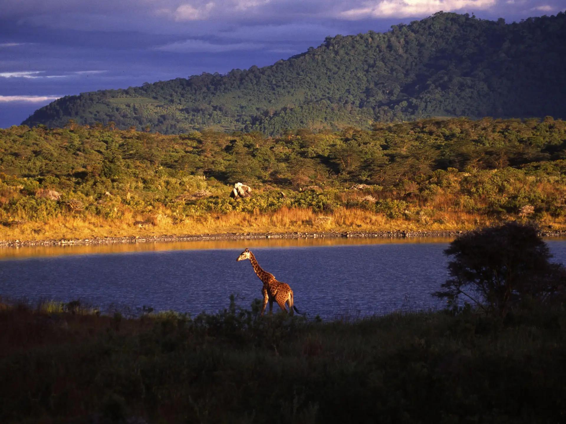 9-Day Exquisite Tanzania Wilderness Safari