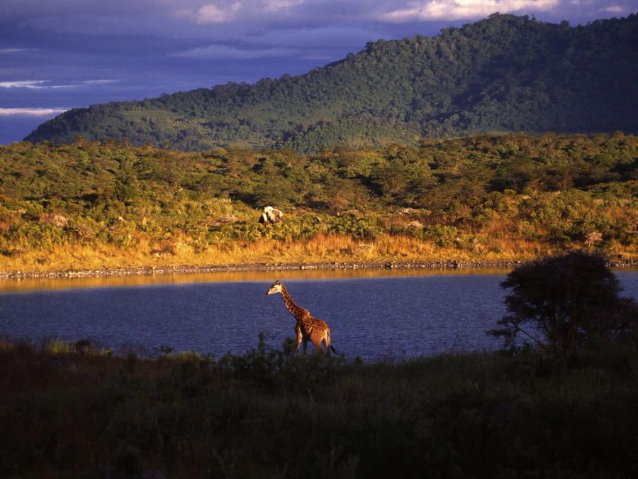 9-Day Exquisite Tanzania Wilderness Safari