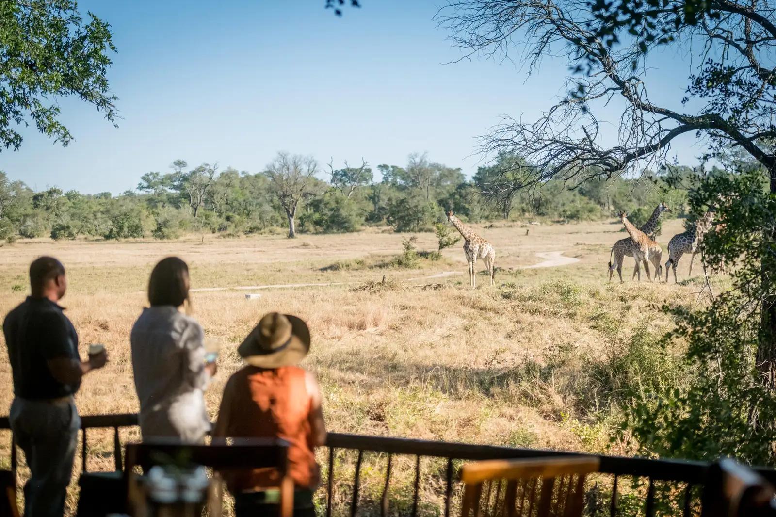 Umkumbe Bush Lodge
