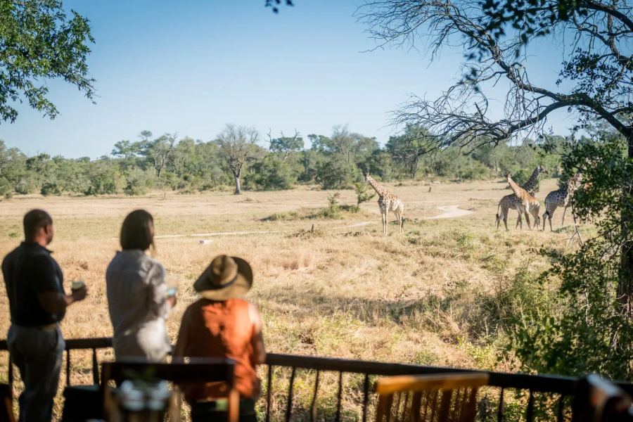 Umkumbe Bush Lodge