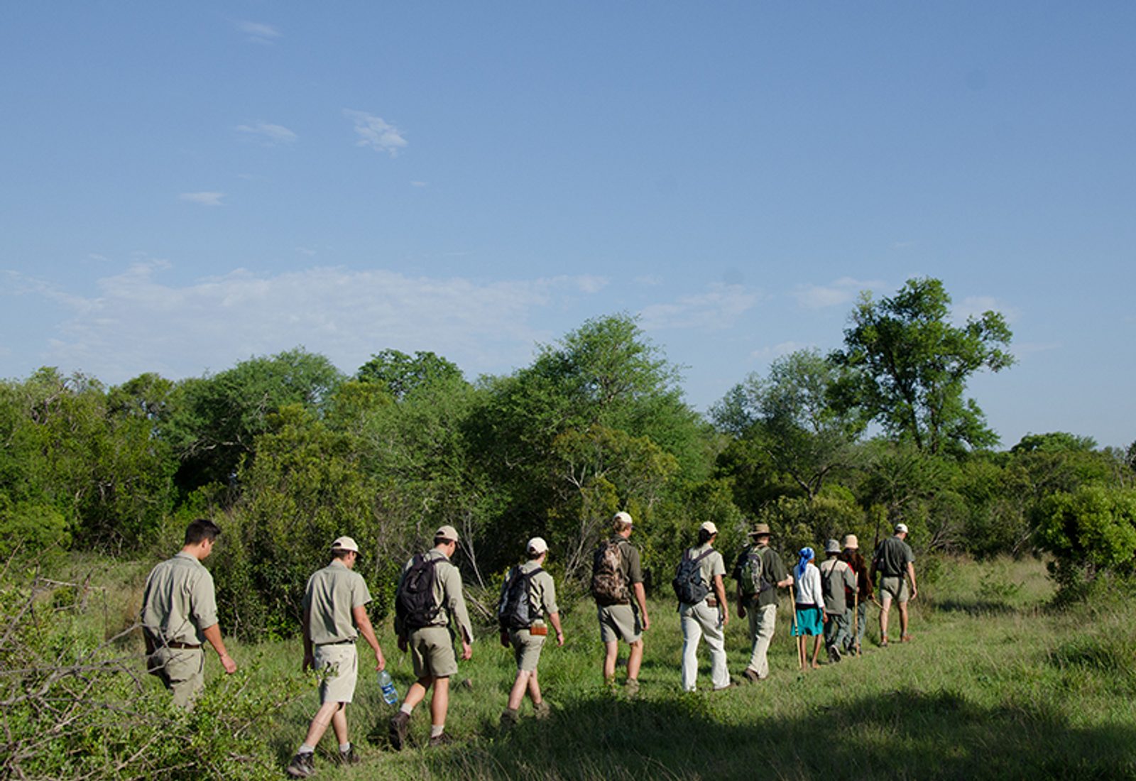 Walking safaris in Africa