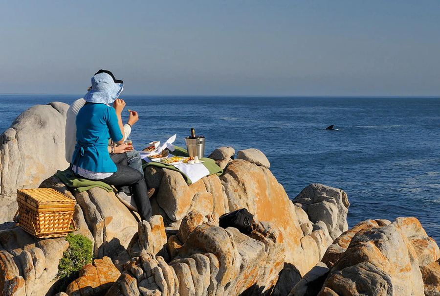 4-Day Grootbos Forest Lodge Experience