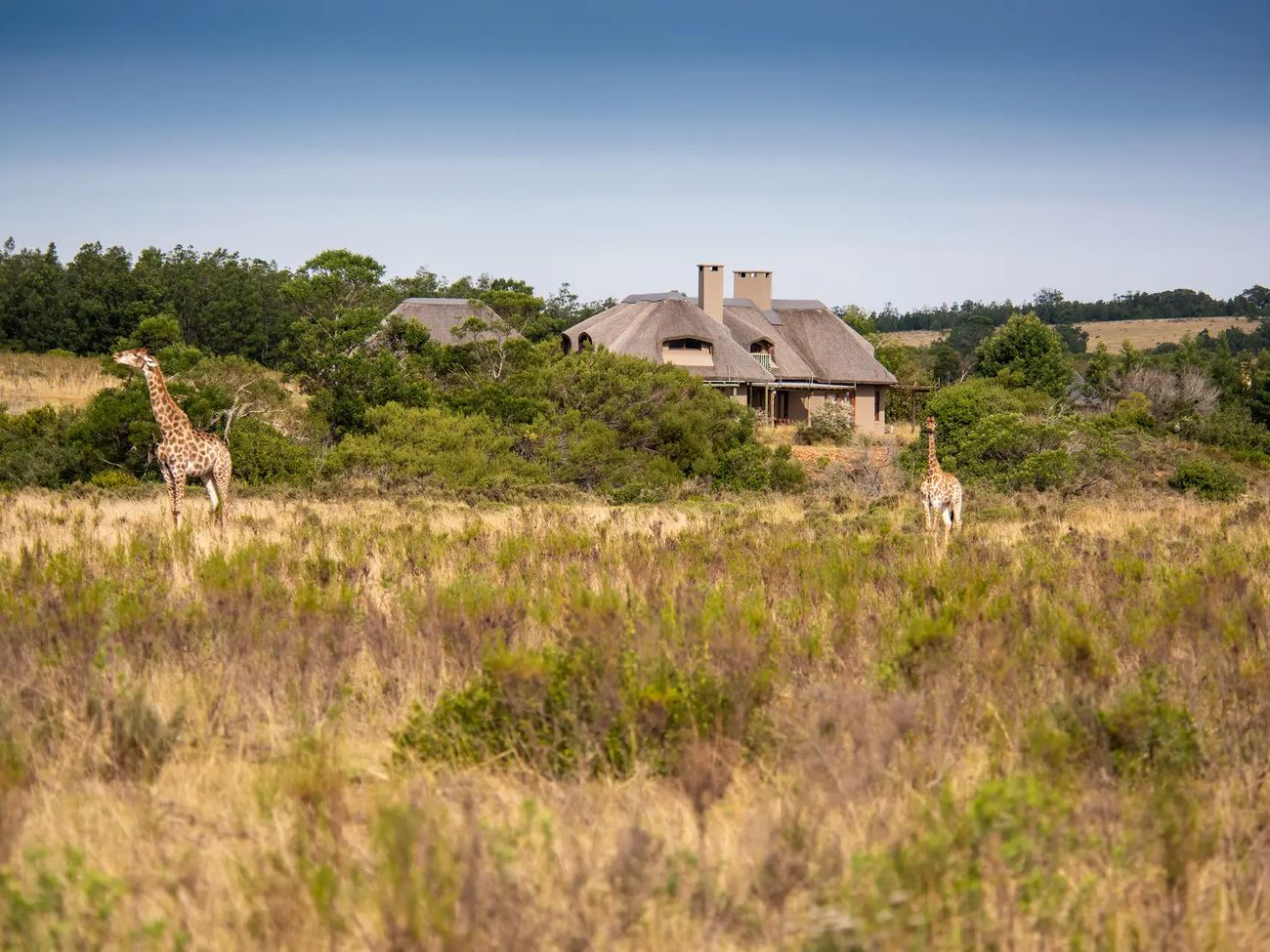 Lehele Lodge Villas